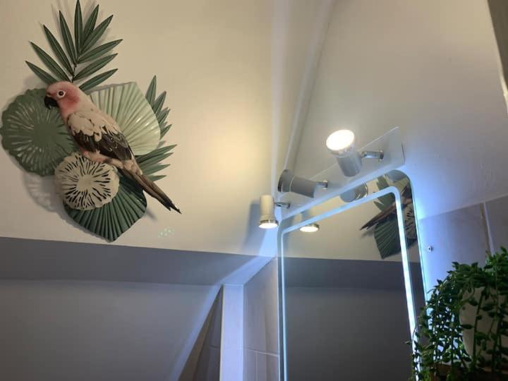 Escale Tropicale A Blois Apartment Bagian luar foto