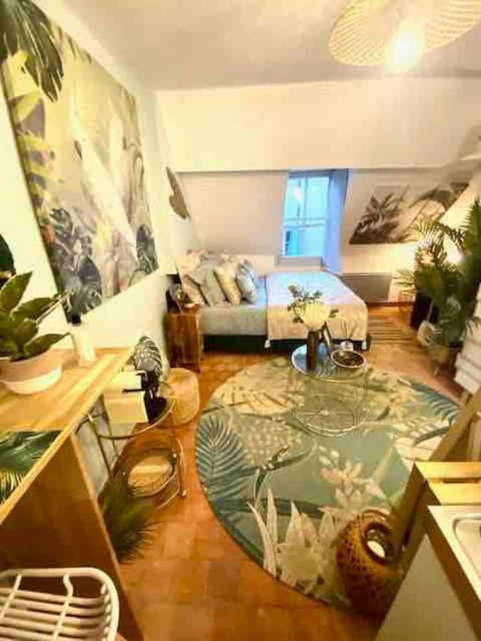 Escale Tropicale A Blois Apartment Bagian luar foto