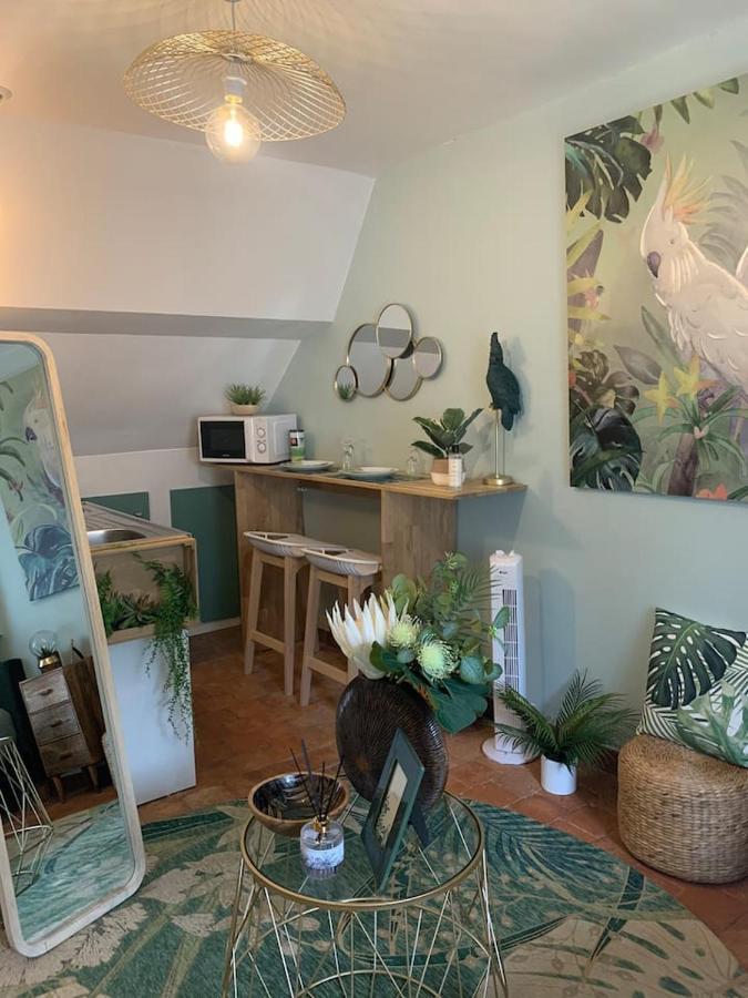 Escale Tropicale A Blois Apartment Bagian luar foto